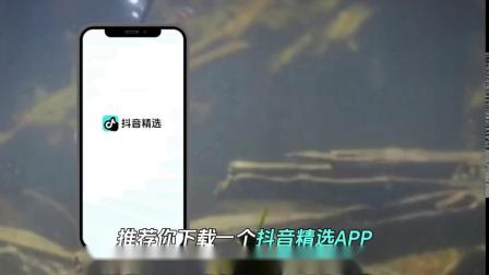 抖音精选有何特点？